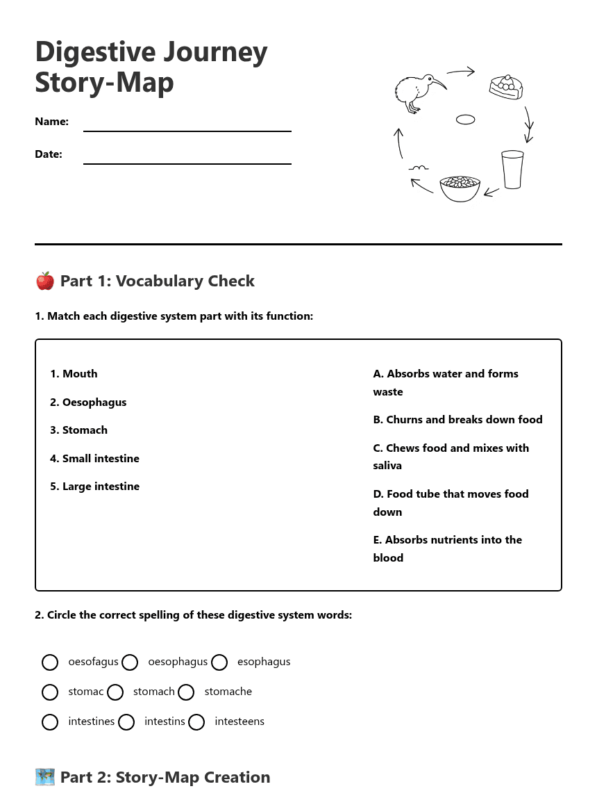 Digestive Journey Story-Map worksheet preview