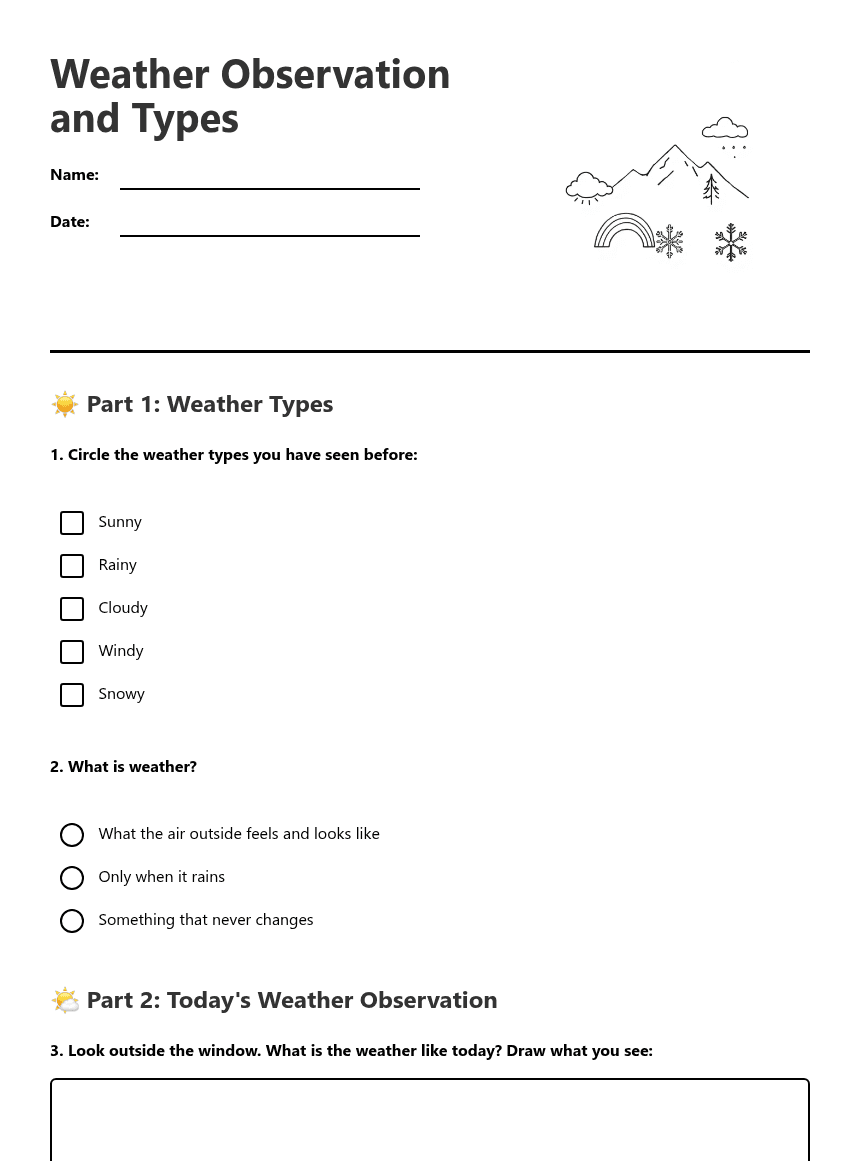 Weather Observation and Types worksheet preview