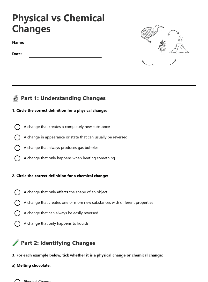 Physical vs Chemical Changes worksheet preview