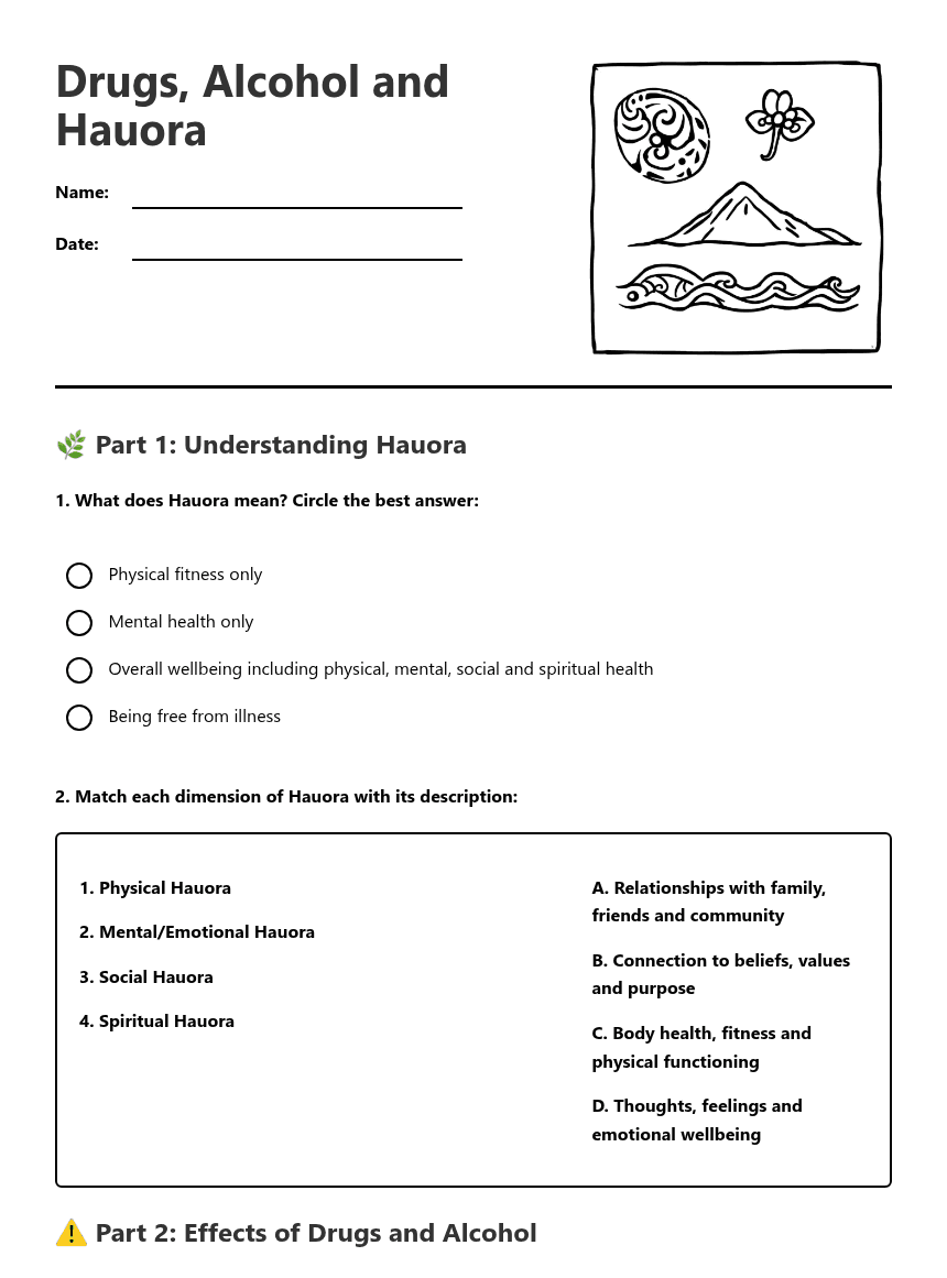 Drugs, Alcohol and Hauora worksheet preview