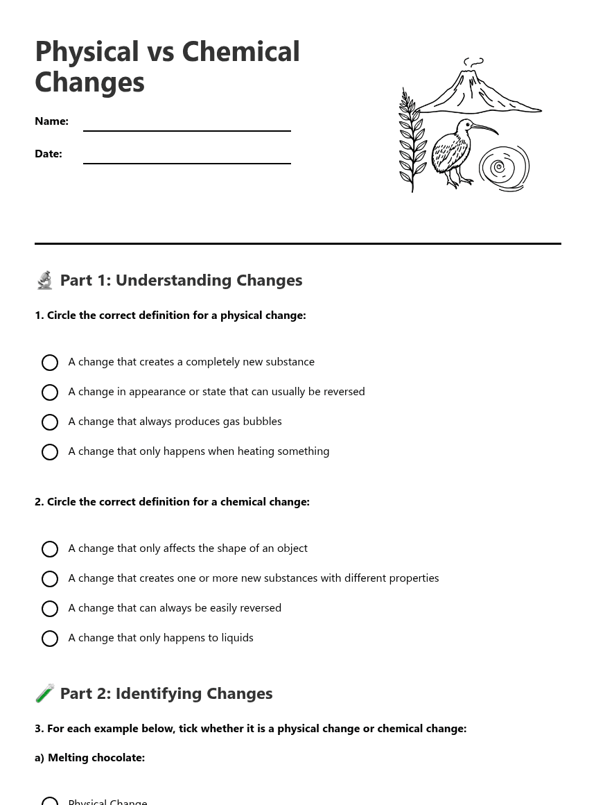 Physical vs Chemical Changes worksheet preview