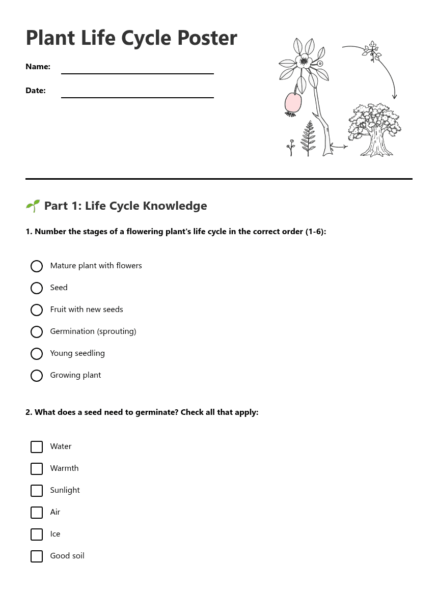 Plant Life Cycle Poster worksheet preview