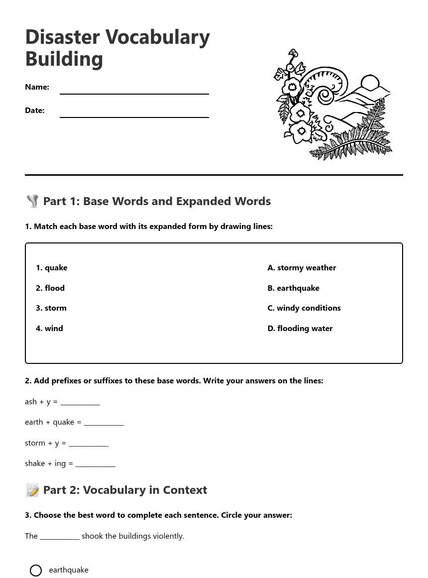 Disaster Vocabulary Building worksheet preview
