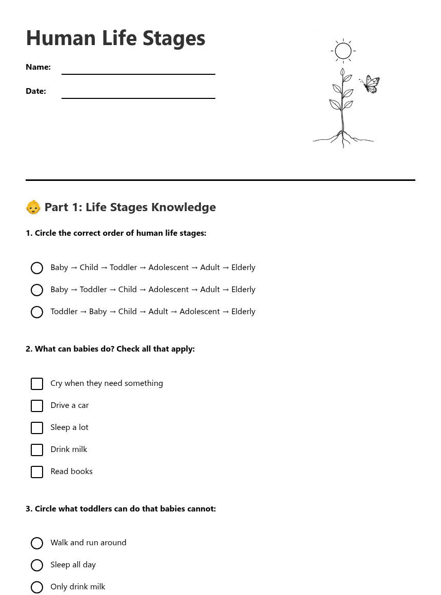 Human Life Stages worksheet preview