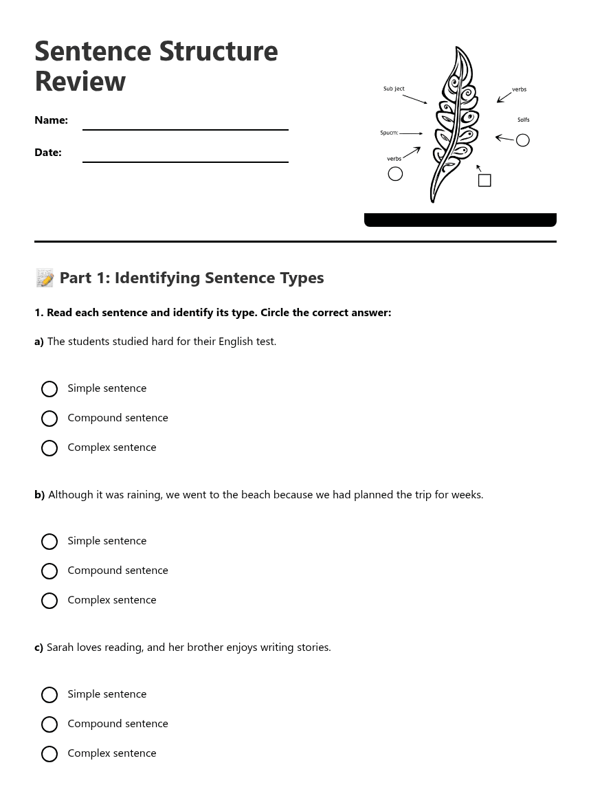 Sentence Structure Review worksheet preview