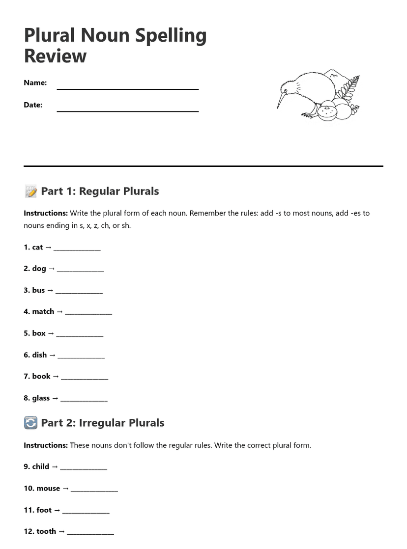 Plural Noun Spelling Review