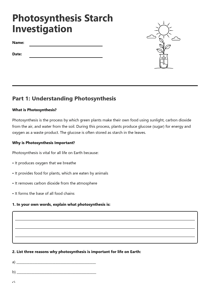 Photosynthesis Starch Investigation worksheet preview