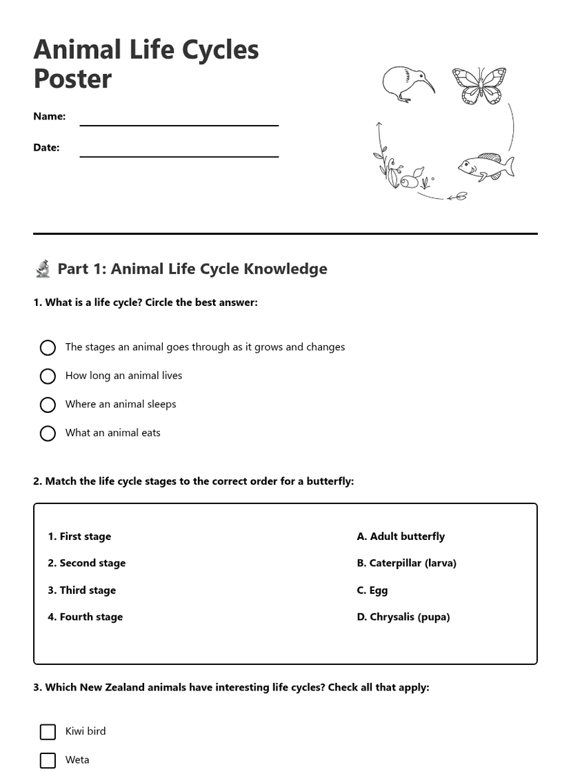 Animal Life Cycles Poster