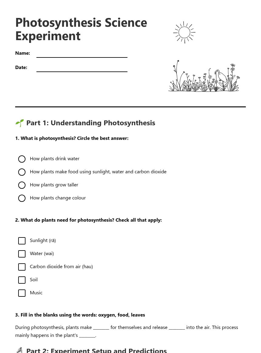 Photosynthesis Science Experiment worksheet preview