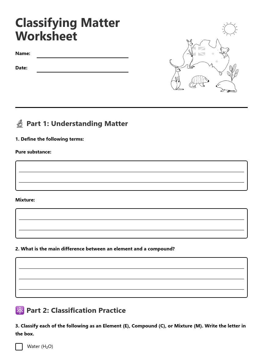 Classifying Matter Worksheet worksheet preview