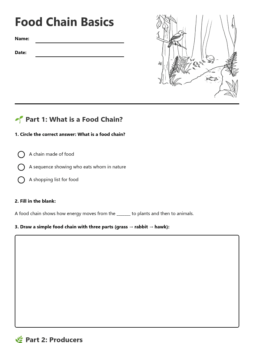 Food Chain Basics worksheet preview
