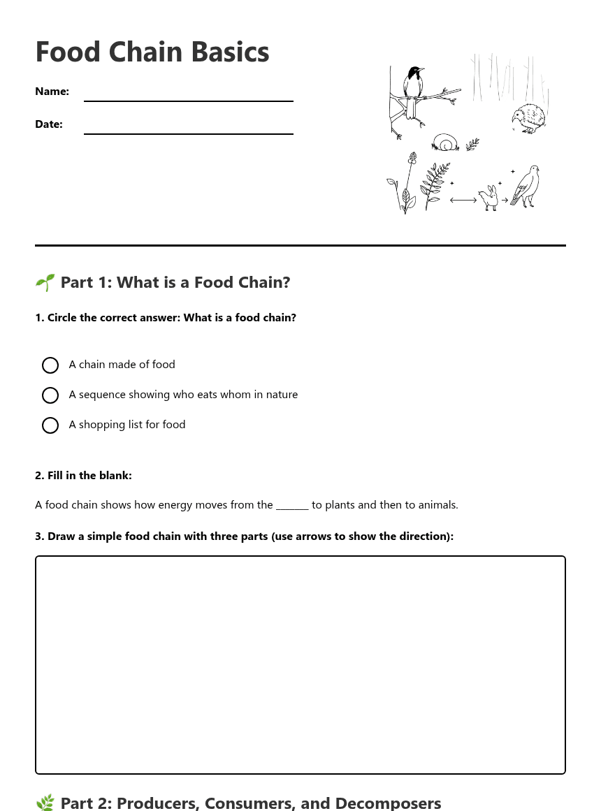 Food Chain Basics worksheet preview