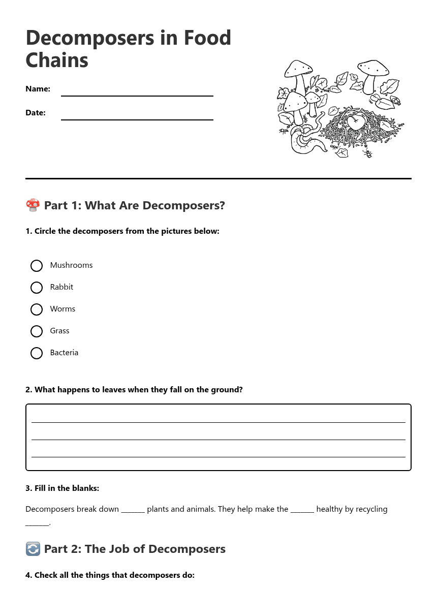 Decomposers in Food Chains worksheet preview