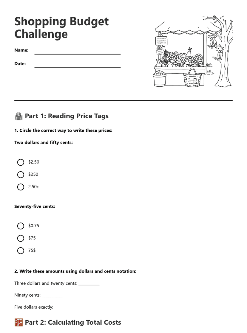 Shopping Budget Challenge