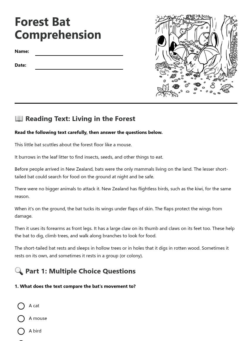 Forest Bat Comprehension worksheet preview