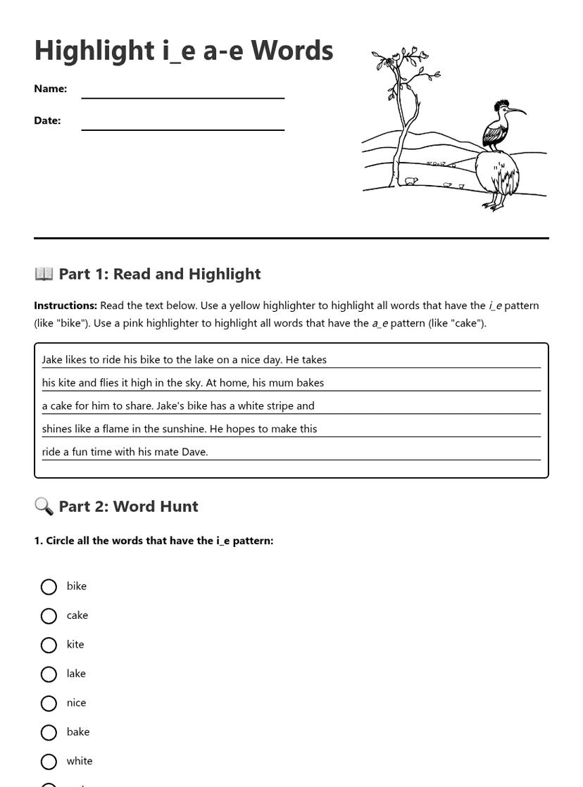 Highlight i_e a-e Words