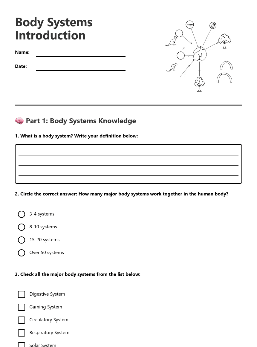 Body Systems Introduction worksheet preview