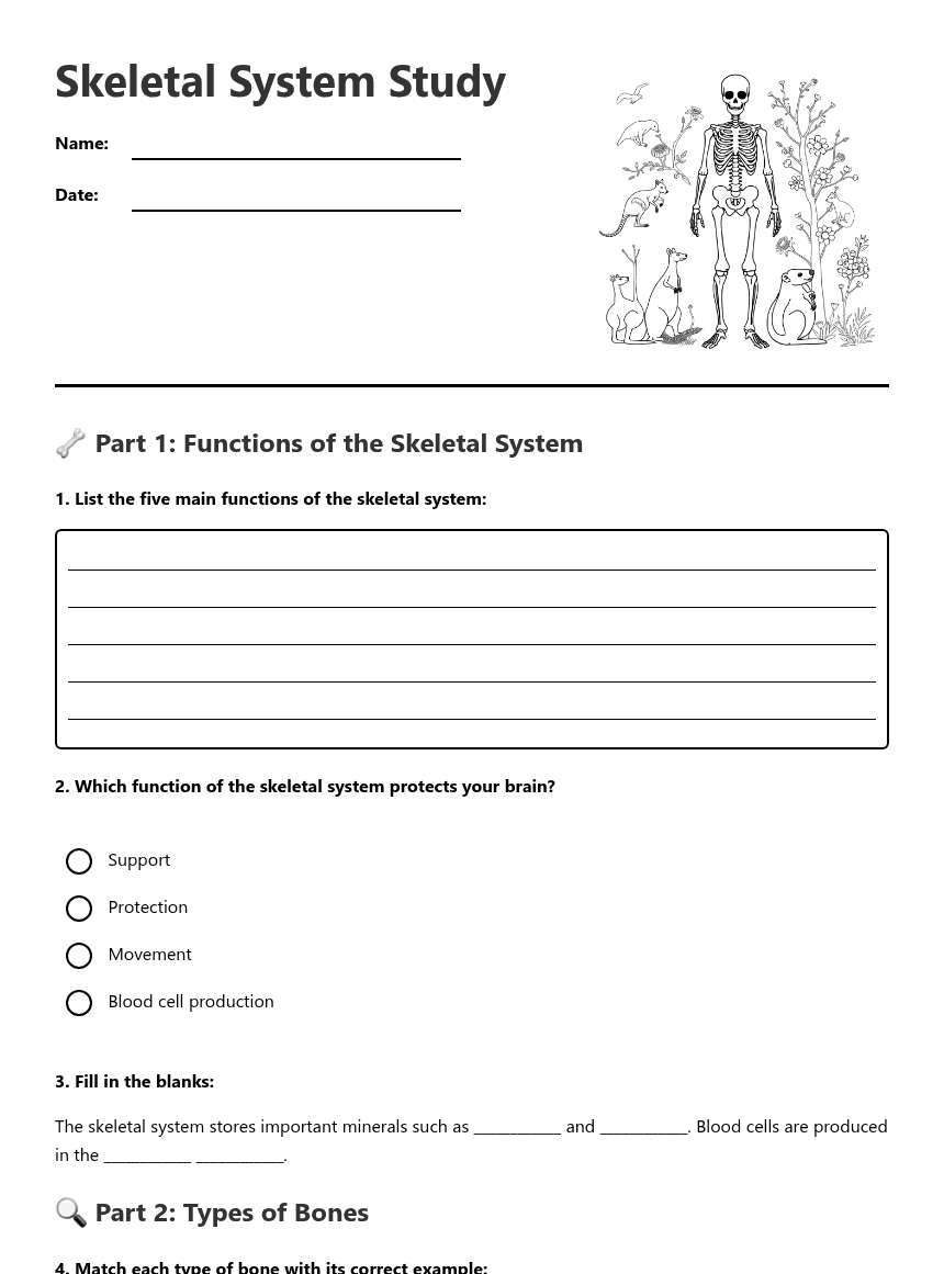 Skeletal System Study worksheet preview