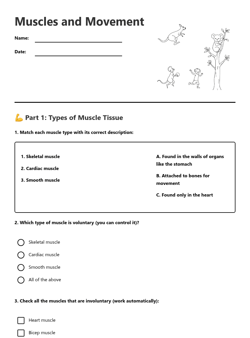 Muscles and Movement worksheet preview