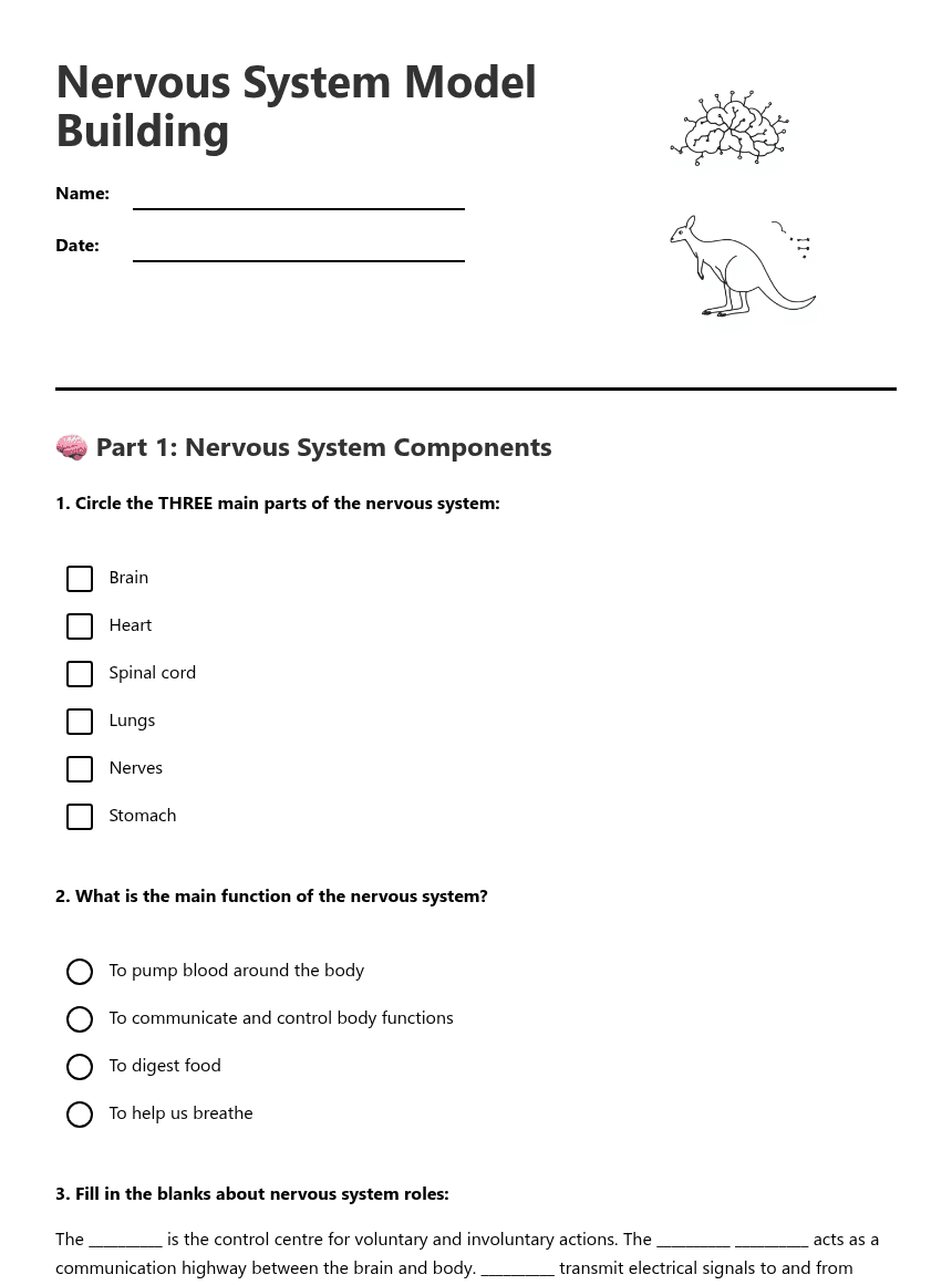 Nervous System Model Building worksheet preview