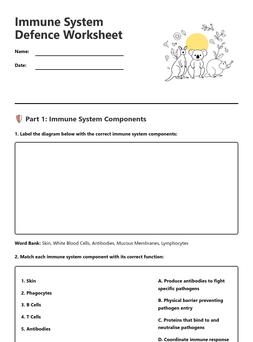 Immune System Defense Worksheet worksheet preview