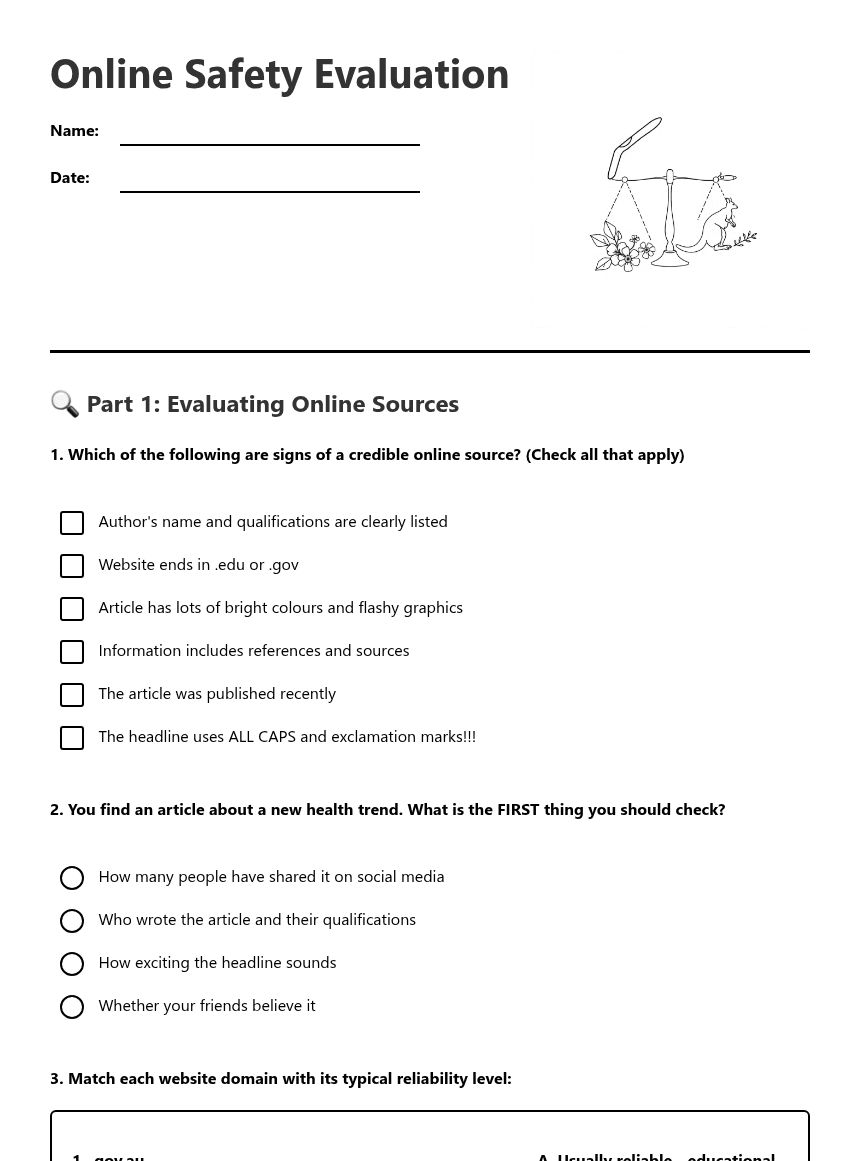 Online Safety Evaluation worksheet preview