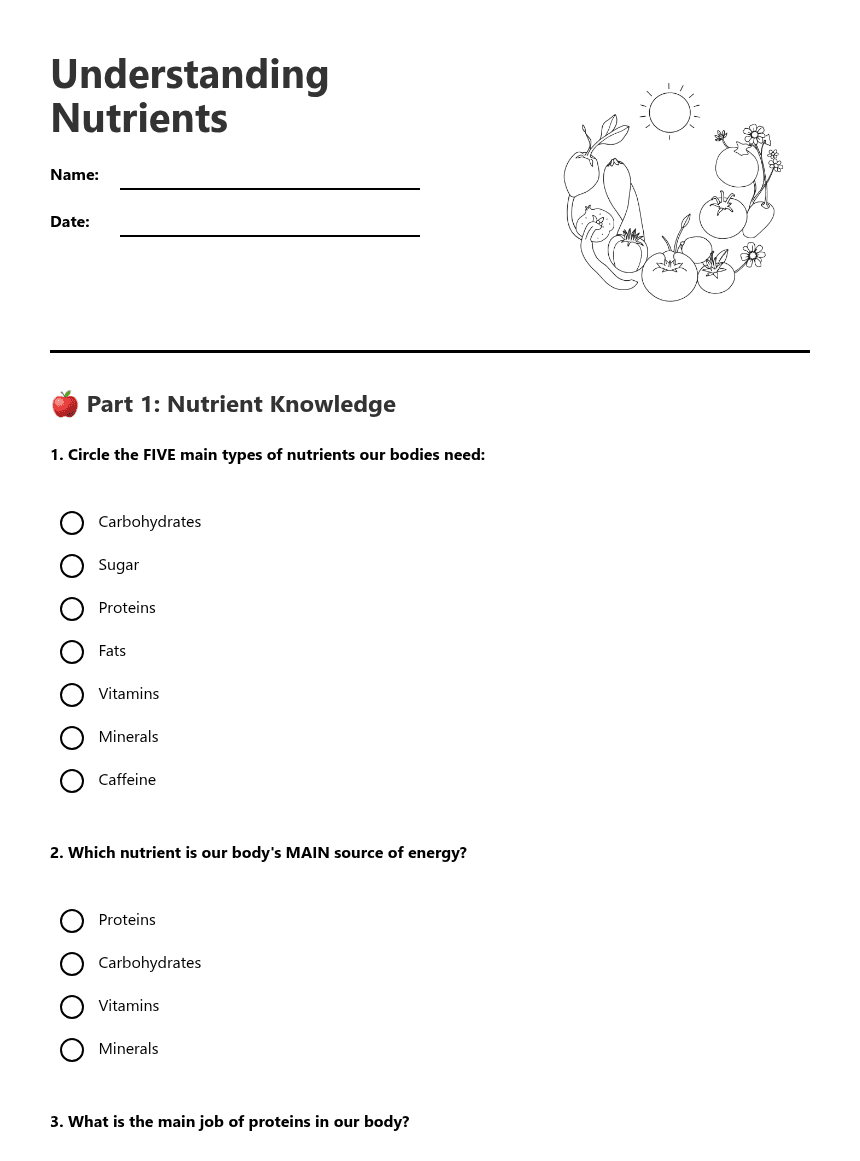 Understanding Nutrients worksheet preview