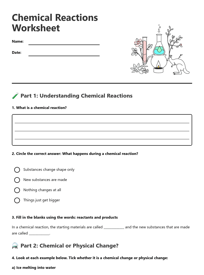 Chemical Reactions Worksheet worksheet preview