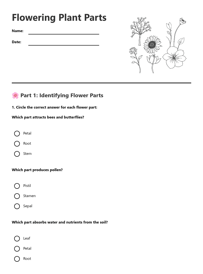 Flowering Plant Parts worksheet preview
