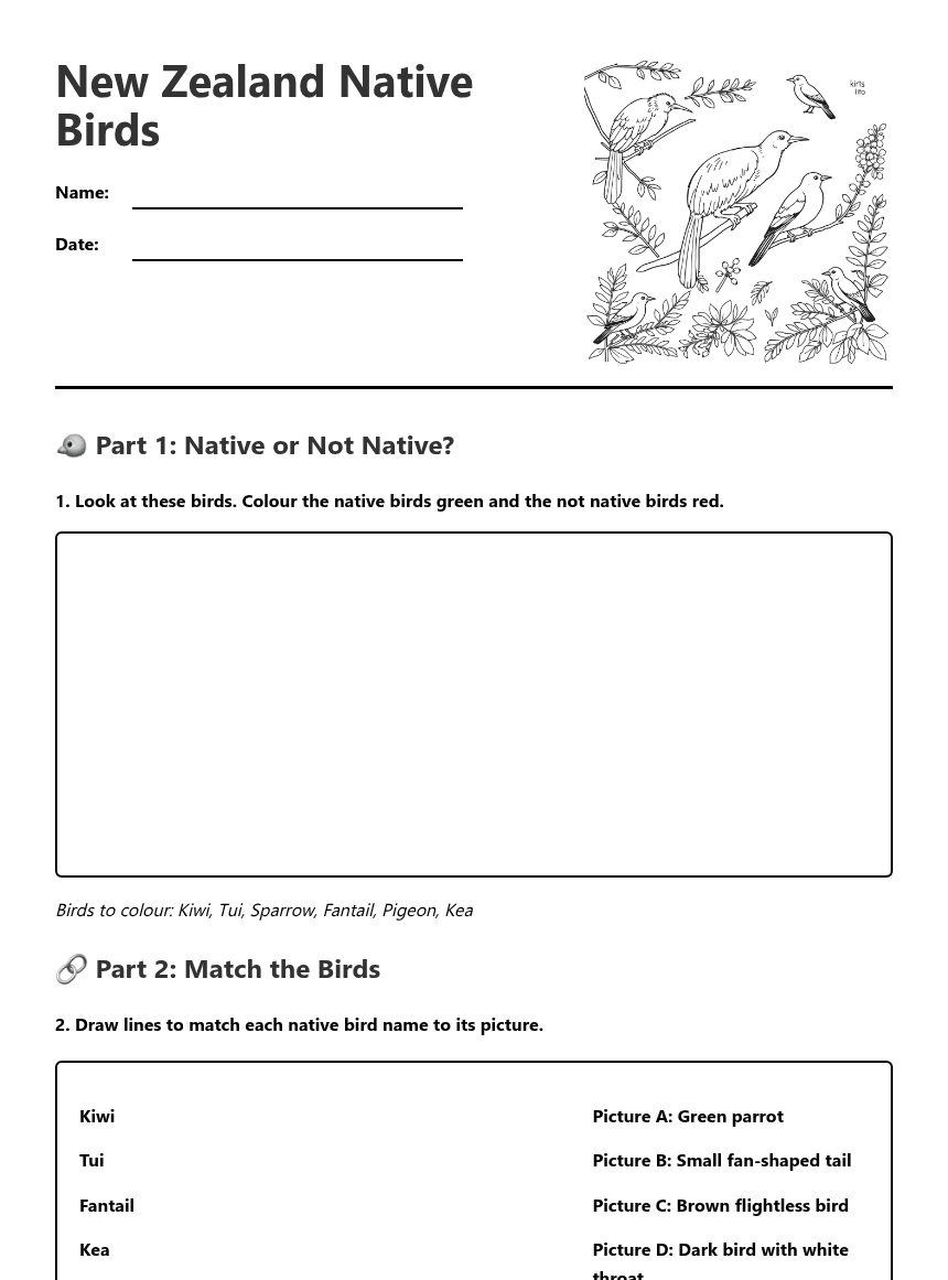 New Zealand Native Birds worksheet preview