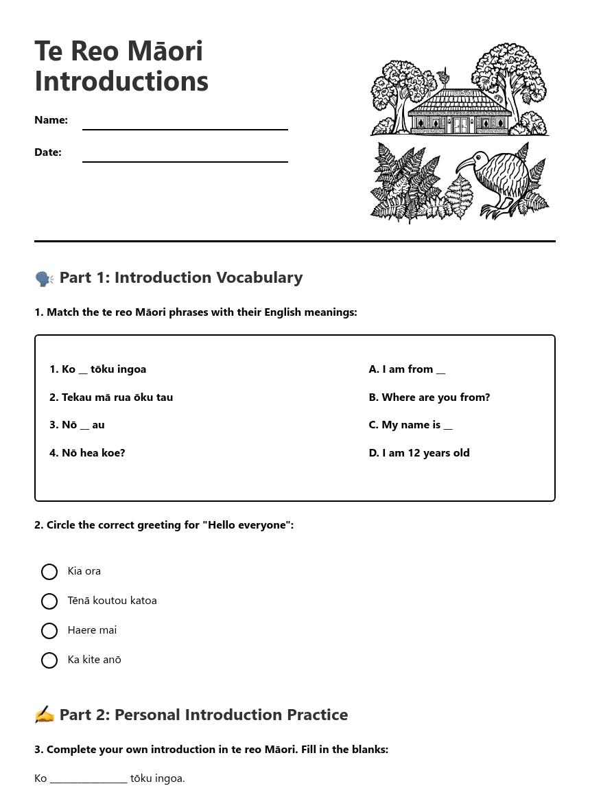 Te Reo Māori Introductions worksheet preview