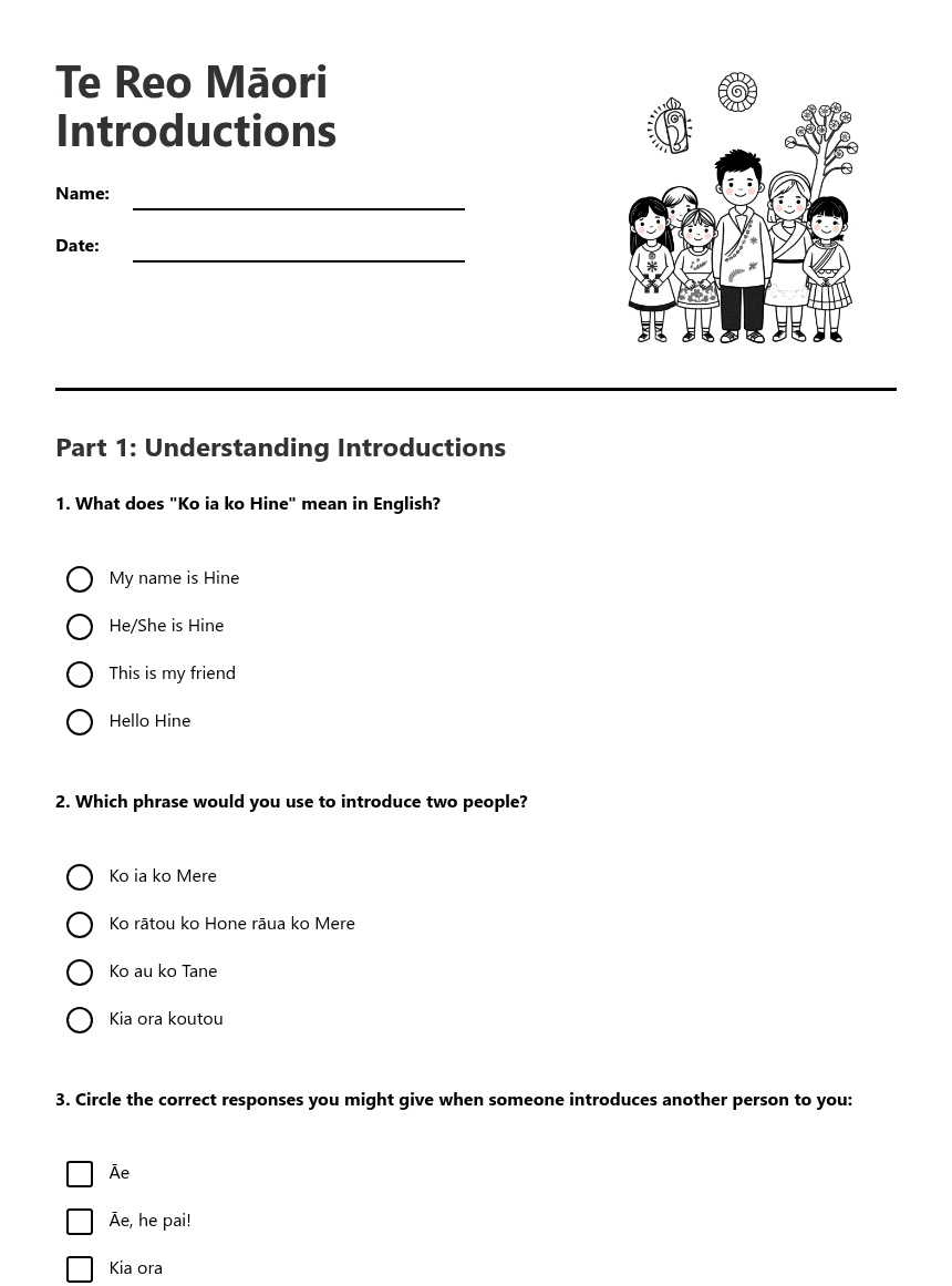 Te Reo Māori Introductions worksheet preview
