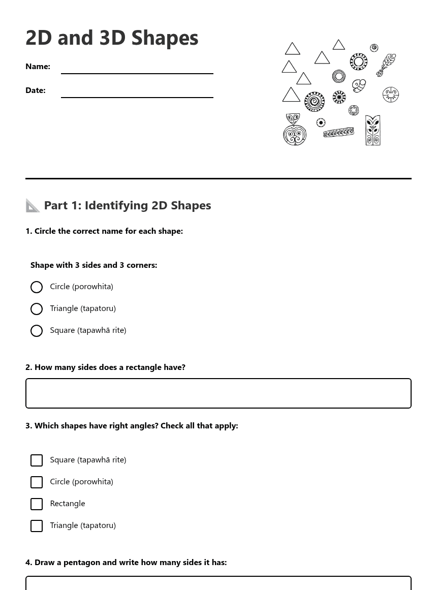 2D and 3D Shapes worksheet preview