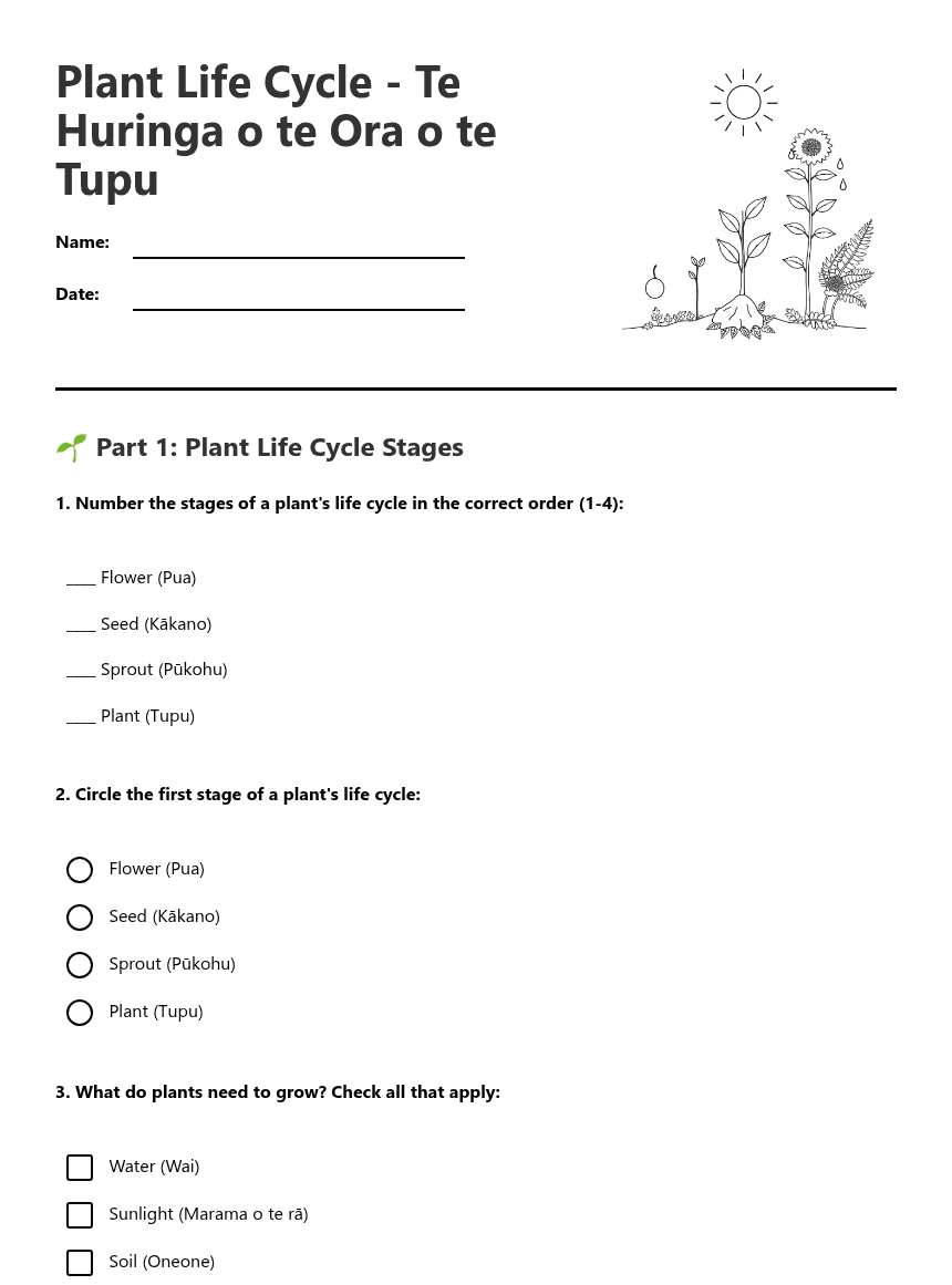 Plant Life Cycle worksheet preview
