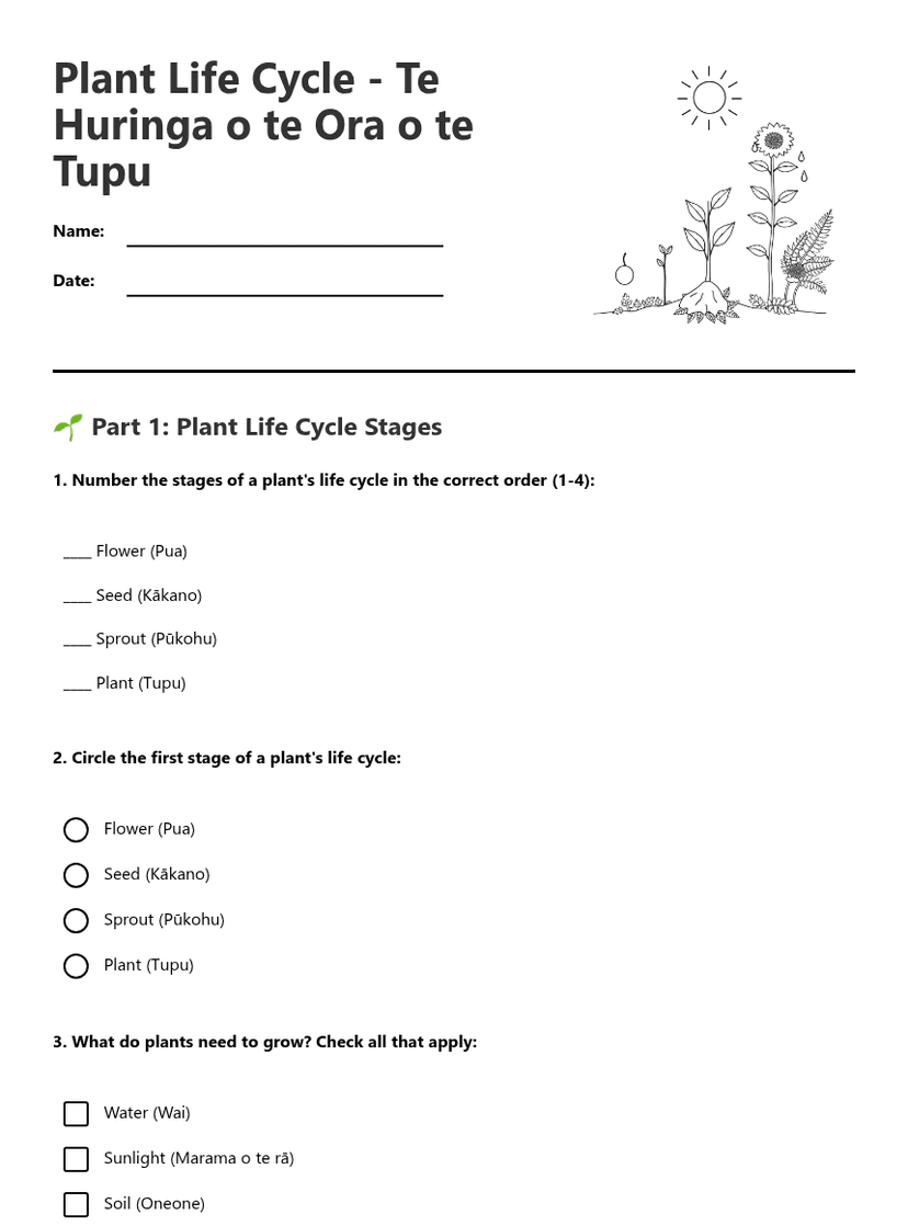 Plant Life Cycle