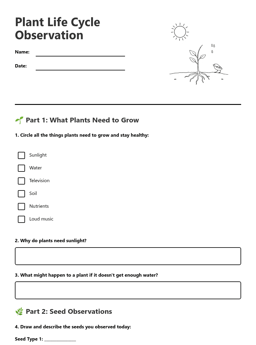 Plant Life Cycle Observation worksheet preview