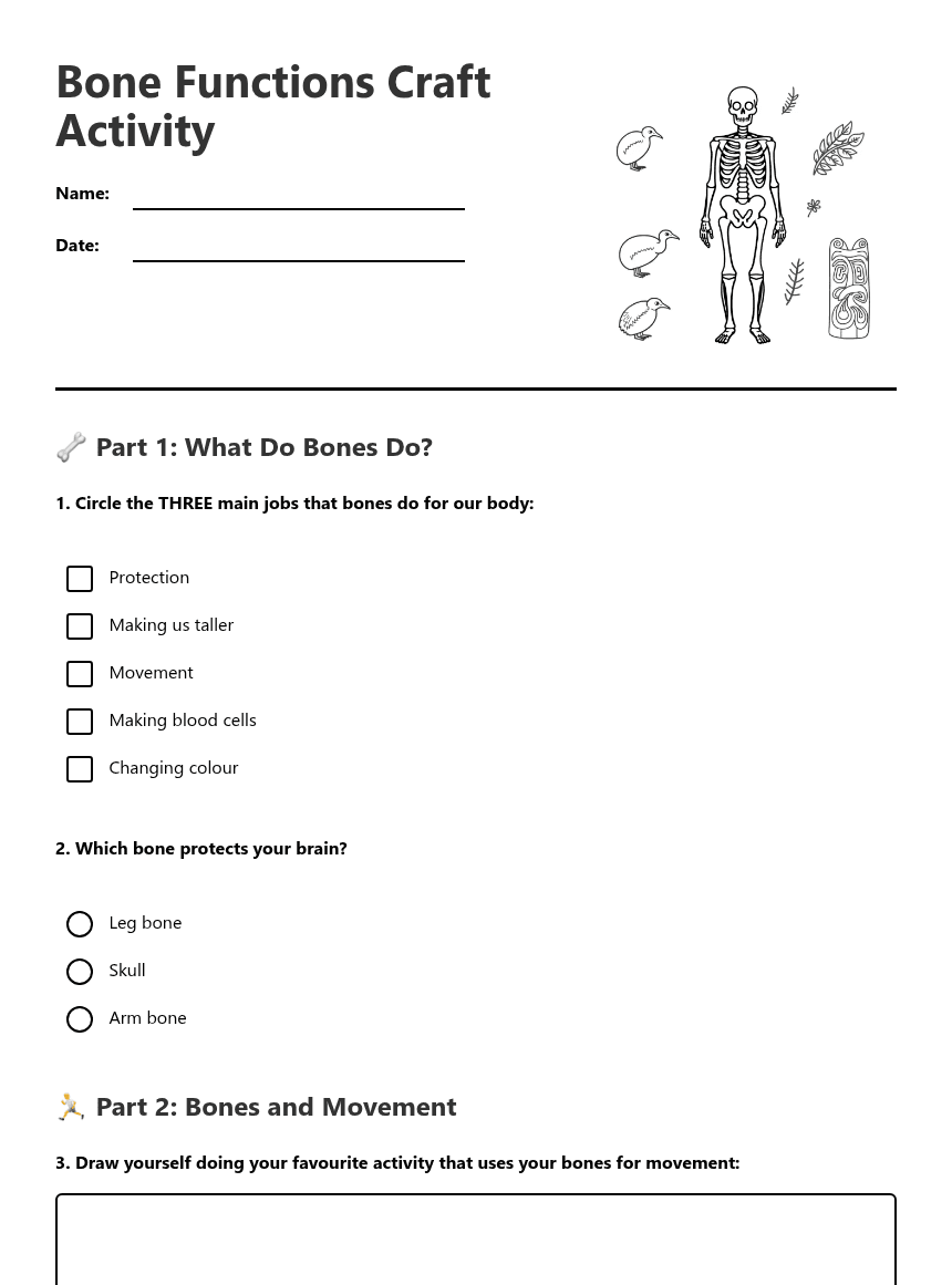 Bone Functions Craft Activity worksheet preview