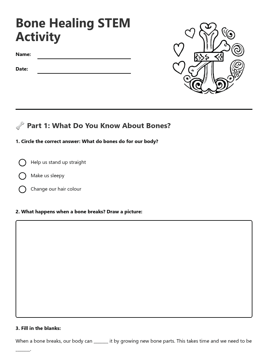 Bone Healing STEM Activity worksheet preview