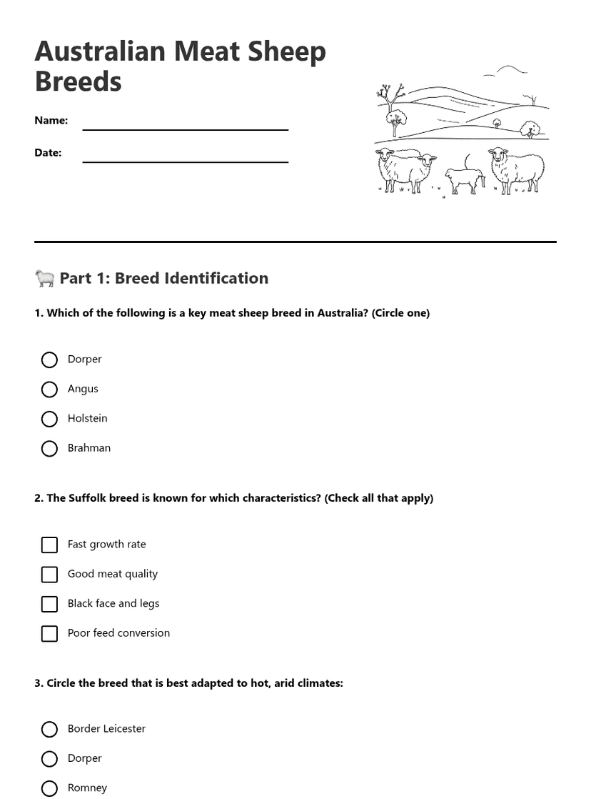 Australian Meat Sheep Breeds