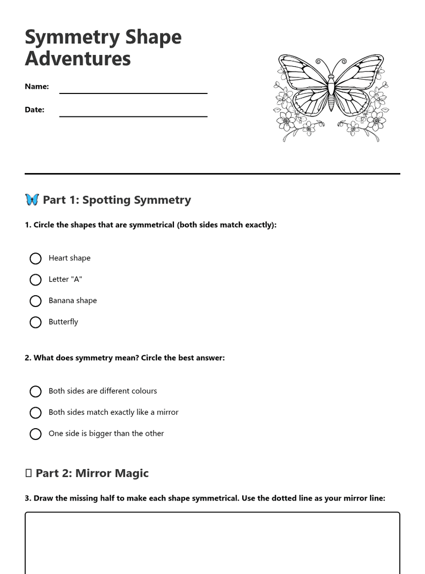 Symmetry Shape Adventures