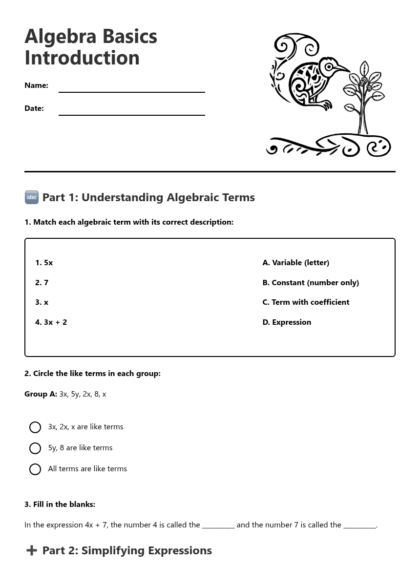 Algebra Basics Introduction worksheet preview