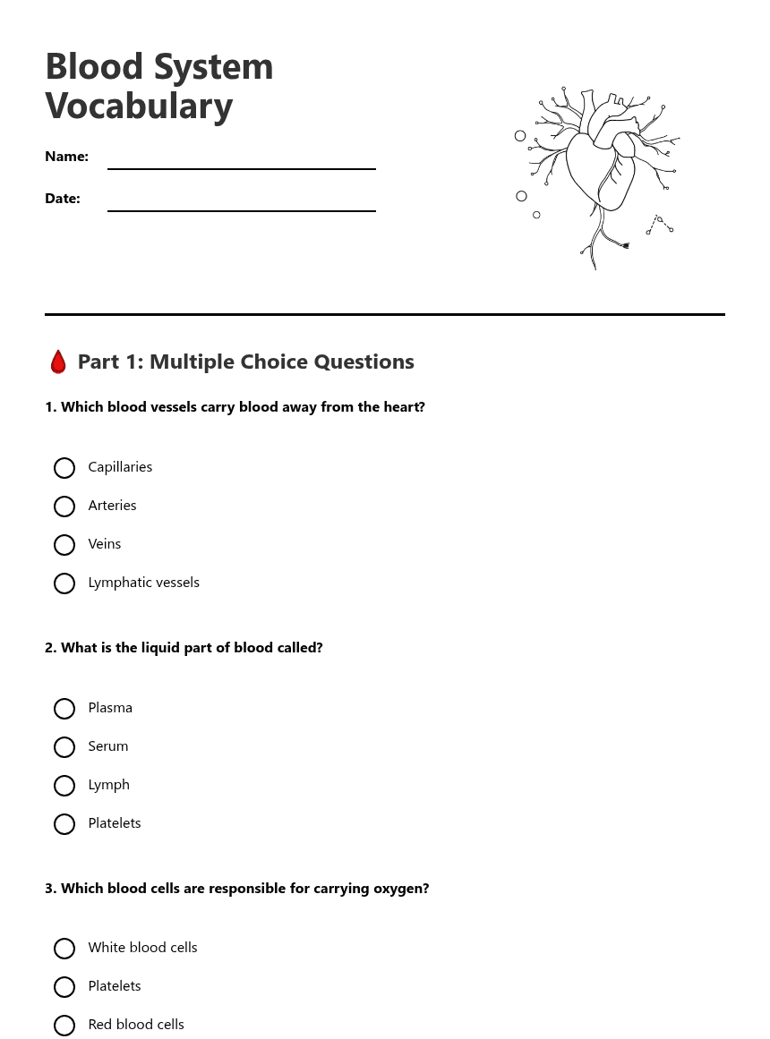Blood System Vocabulary worksheet preview