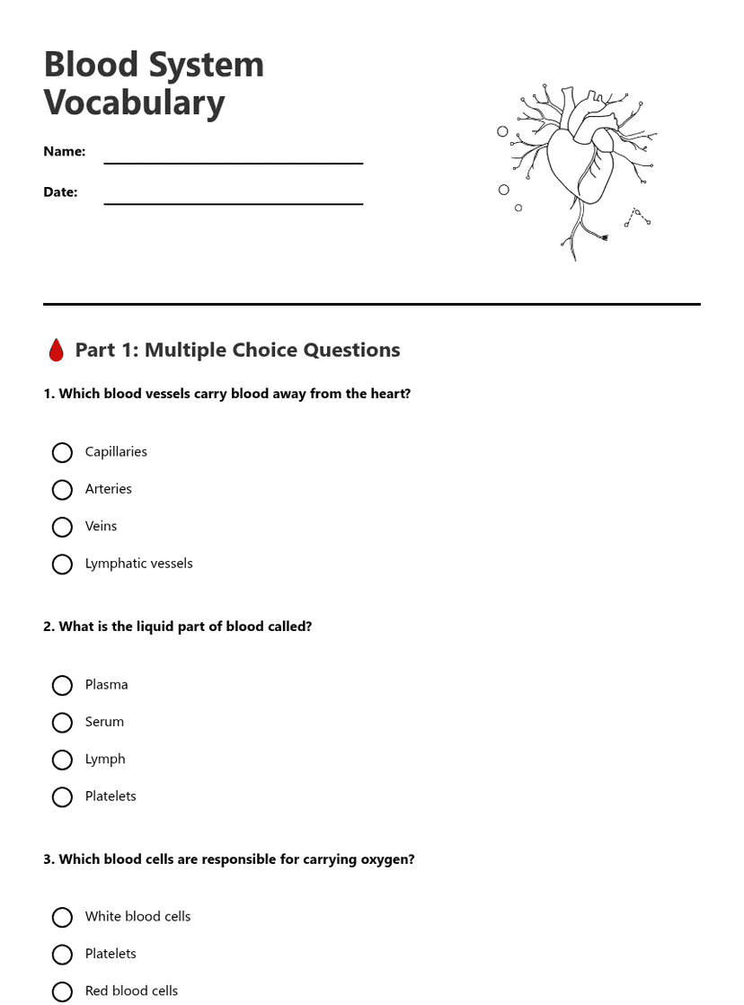 Blood System Vocabulary