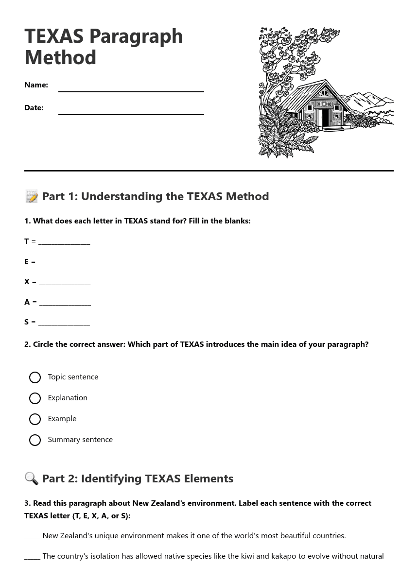 TEXAS Paragraph Method worksheet preview
