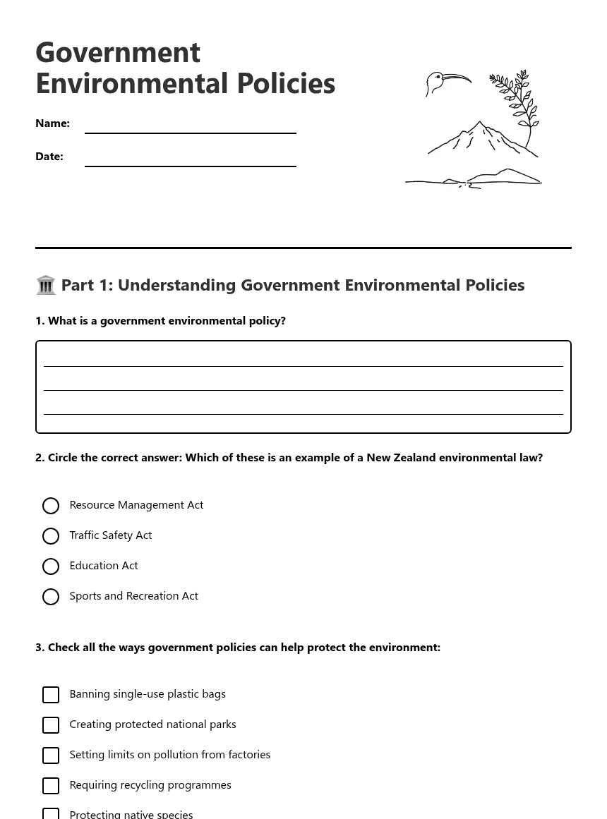 Government Environmental Policies worksheet preview