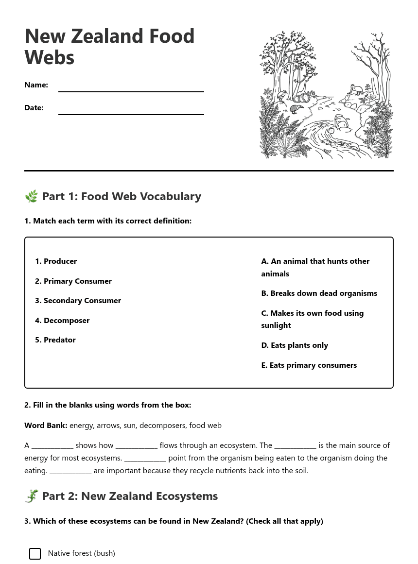 New Zealand Food Webs worksheet preview
