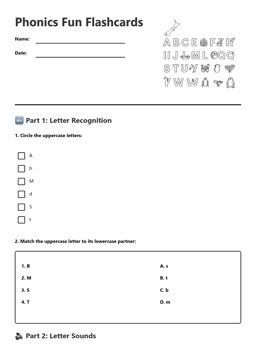 Phonics Fun Flashcards