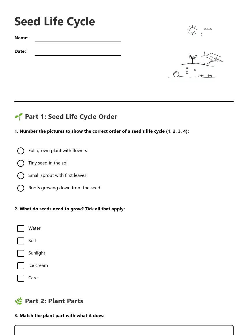 Seed Life Cycle worksheet preview