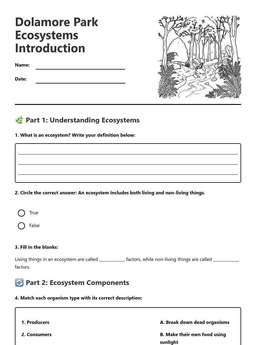 Dolamore Park Ecosystems Introduction worksheet preview