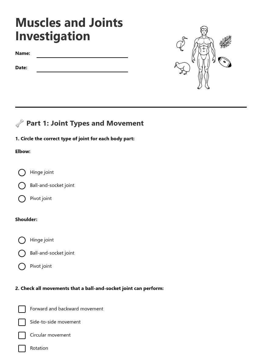 Muscles and Joints Investigation worksheet preview